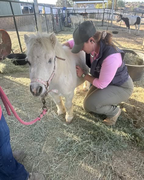 Direct relief program